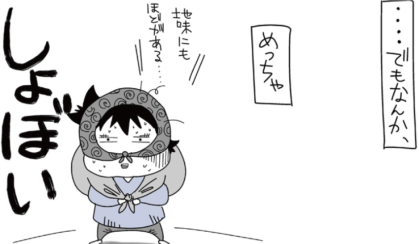 でもなんか、めっちゃ、しょぼい。地味にもほどがある・・・
