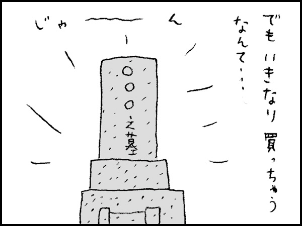 でもいきなり買っちゃうなんて・・・