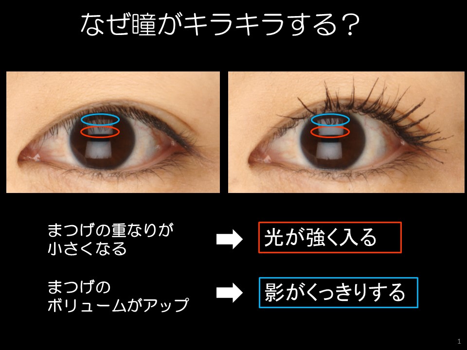 カネボウまつげ2.jpg