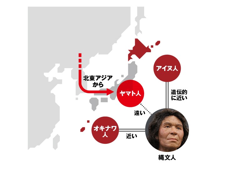 すぐそこに遺伝子_自分探し_6
