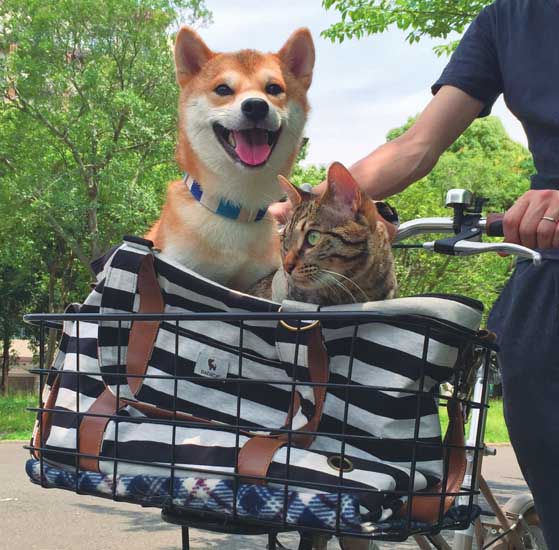 自転車でどこいくの(ぴあ提供)