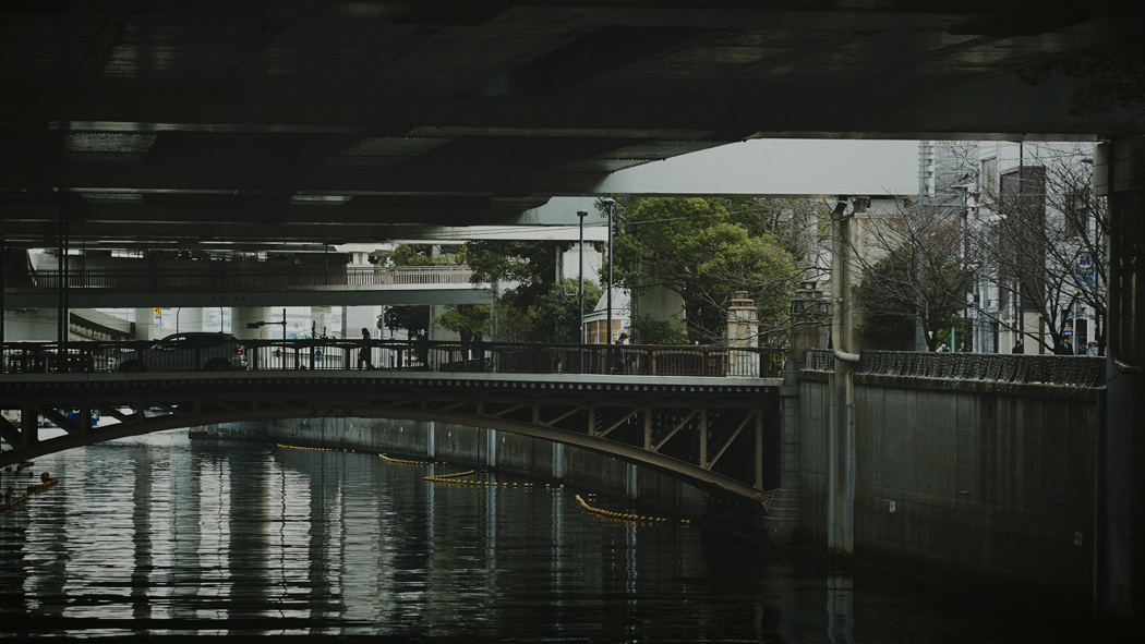 写真・図版
