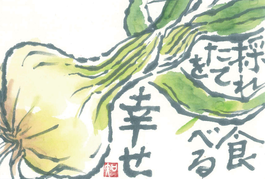「新タマネギ」 絵手紙・見手紙