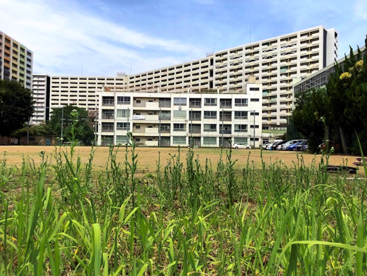 Re:search_芝園団地_新旧住民_8