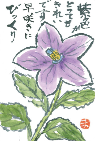 「キキョウ」 絵手紙・見手紙