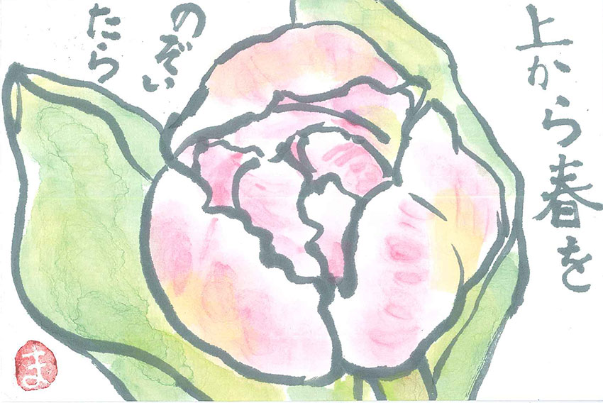 チューリップ_絵手紙