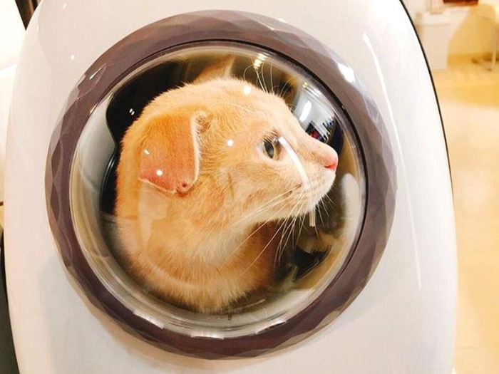 ちょっと宇宙にでも行く感じでしょ
