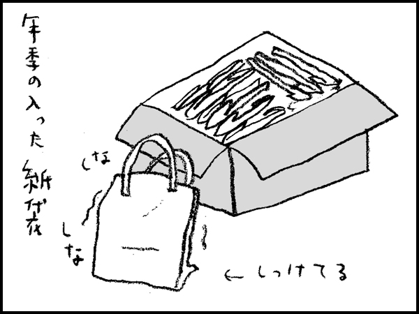 年季の入った紙袋…しなしなにしっけてる