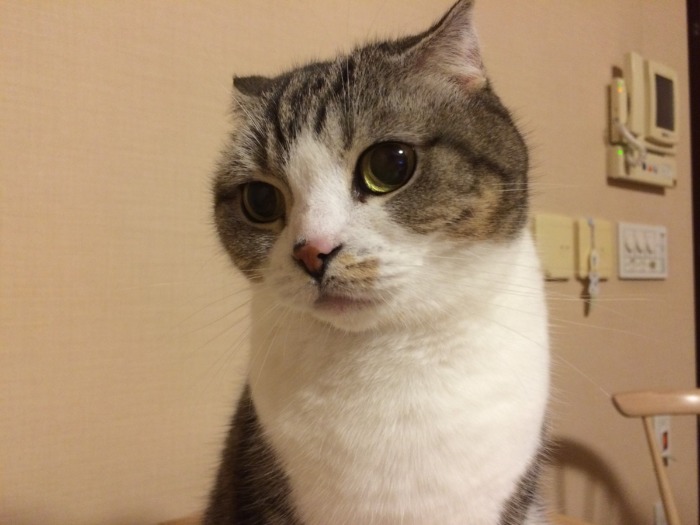 15歳になったミツバ