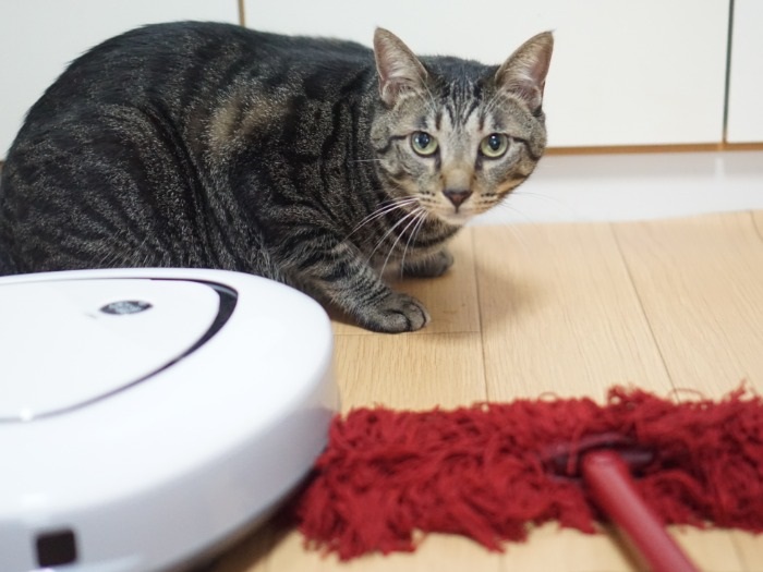 日々、僕らのケアと部屋掃除が大事だね