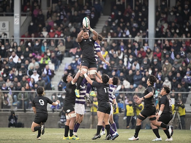 29mt