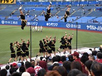 野球早慶DSC_4363
