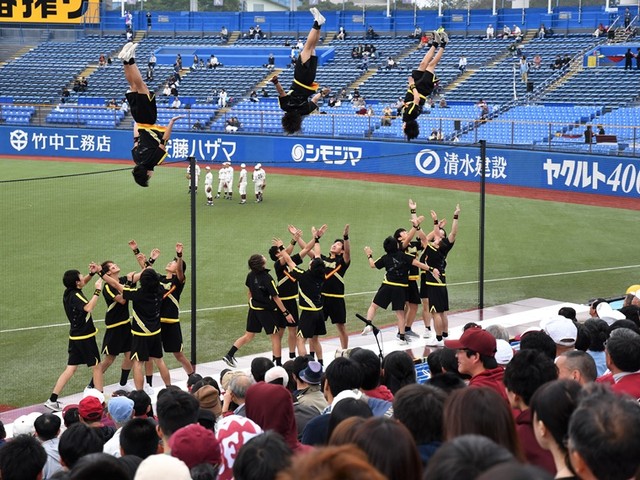 野球早慶DSC_4363