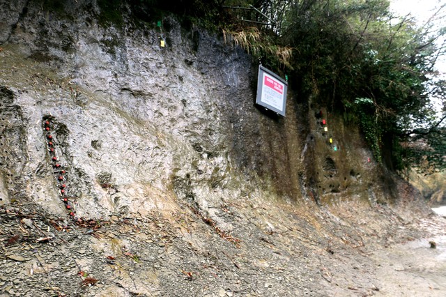 地球史新添“千叶期” 首次以日本地名命名