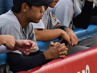 野球早慶DSC_5541