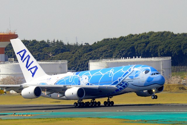 全日空导入全球最大客机a380 "飞天海龟"上天了!(视频)