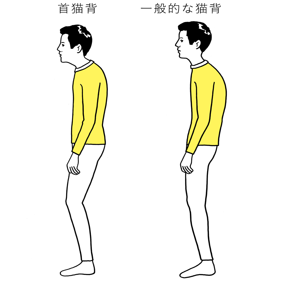写真・図版