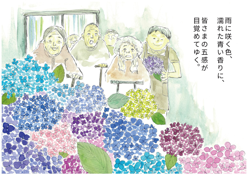 雨に咲く色、濡れた青い香りに、皆さまの五感が目覚めてゆく。