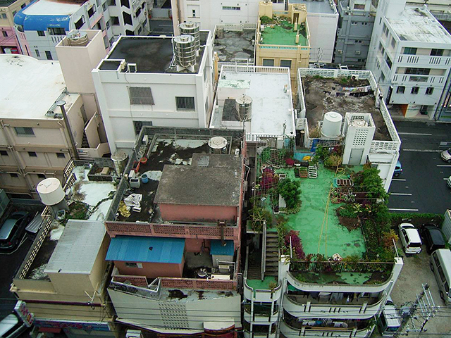 藤井コラム第八回_1