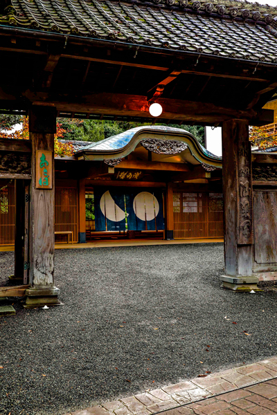 写真・図版