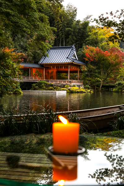 写真・図版