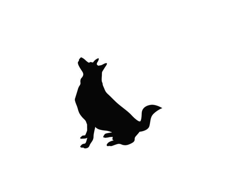 (画像は本文と関係ありません)
