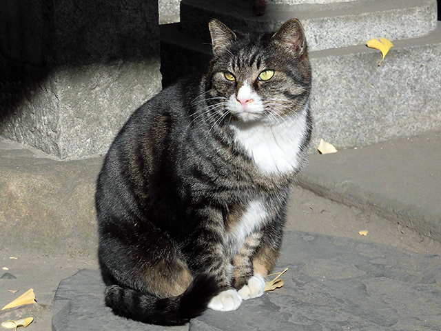 和田ゲストハウス_