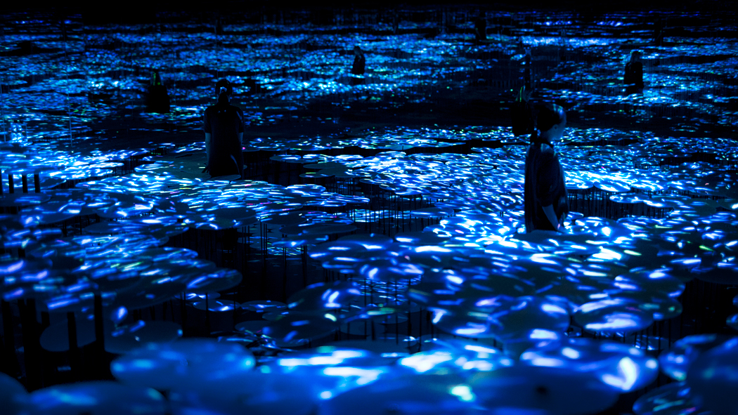 写真・図版