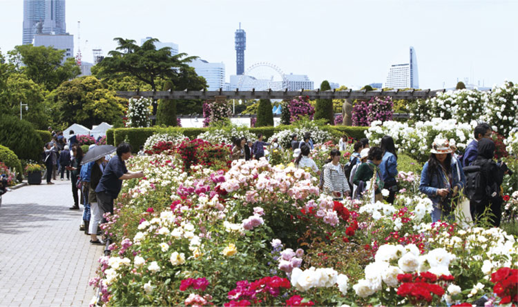 神奈川県・横浜市・鎌倉市・富山市_3