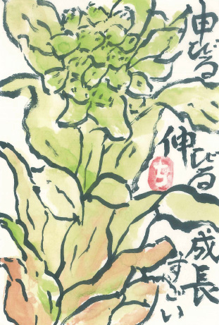 「フキノトウ」 絵手紙・見手紙