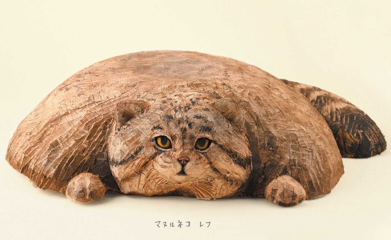 東山動物園のレフはマヌルネコ界のスター (辰巳出版 提供)