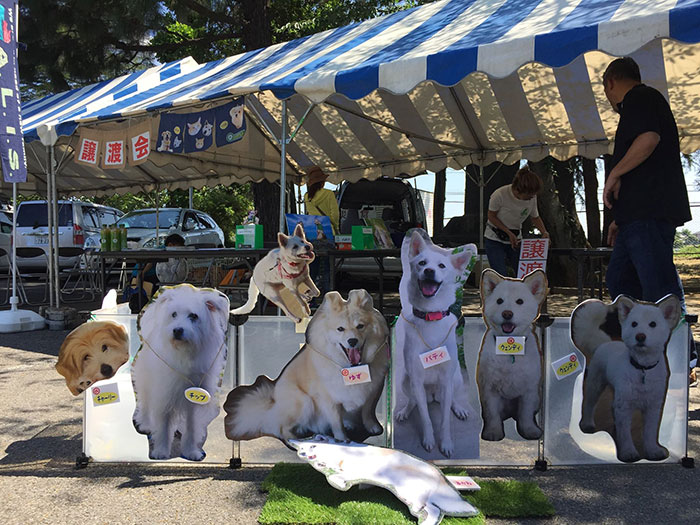 アリスの会さんの譲渡会。臆病な預かり犬は、会場には連れて行かず、等身大のパネル展示をしているそうです。犬に負担をかけたくないから、とのこと。動物福祉面の配慮
