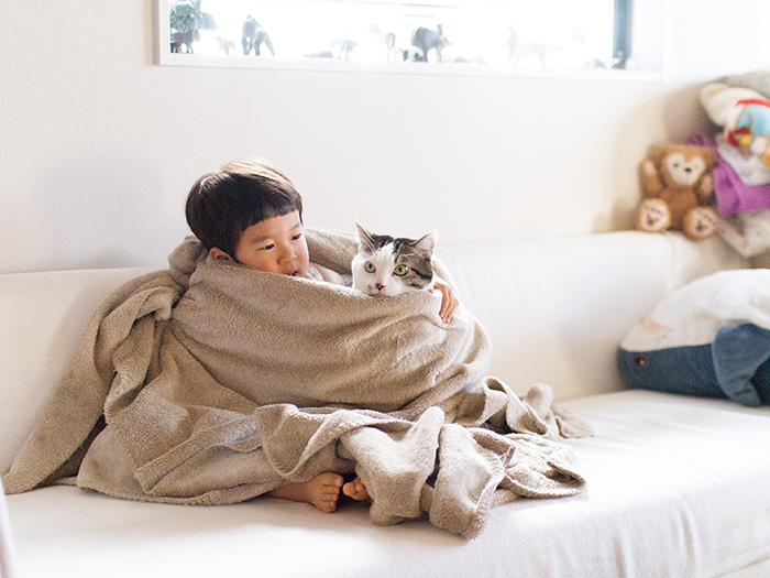 「ハルタとマイロ 男の子と猫はいつも仲よし」から
