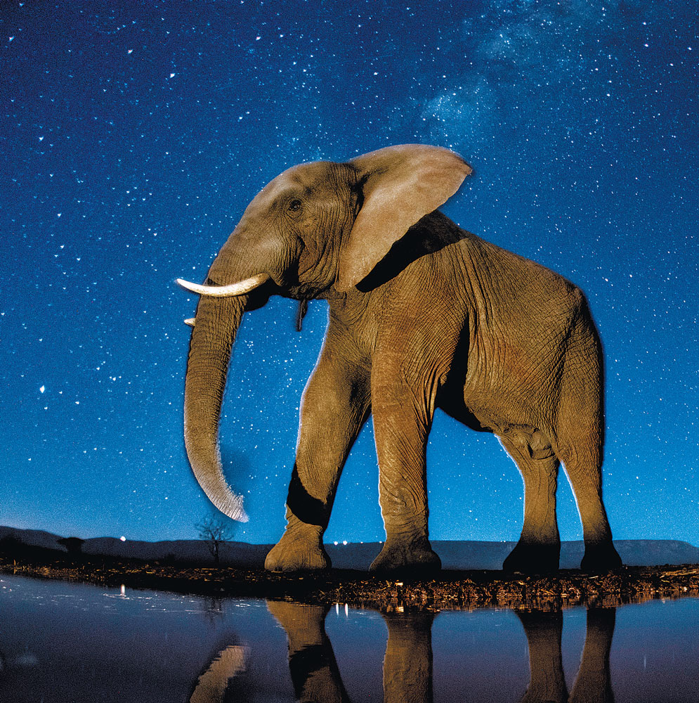 Photo: Bence Máté