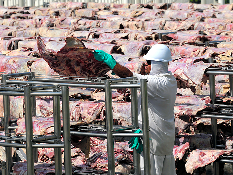 世界最大級の食肉加工場で、塩漬けの肉を広げ、乾燥させる作業員=2017年12月19日、ロイター、ブラジルのサンタナ・デ・パルナイーバ
