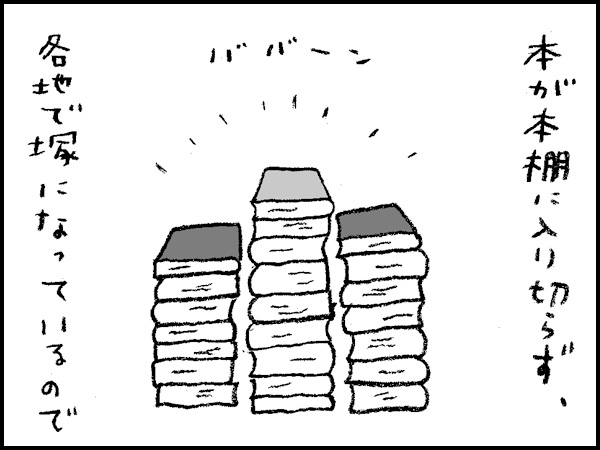 本が本棚に入り切らず、各地で塚になっているので