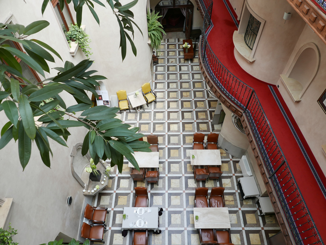 写真・図版