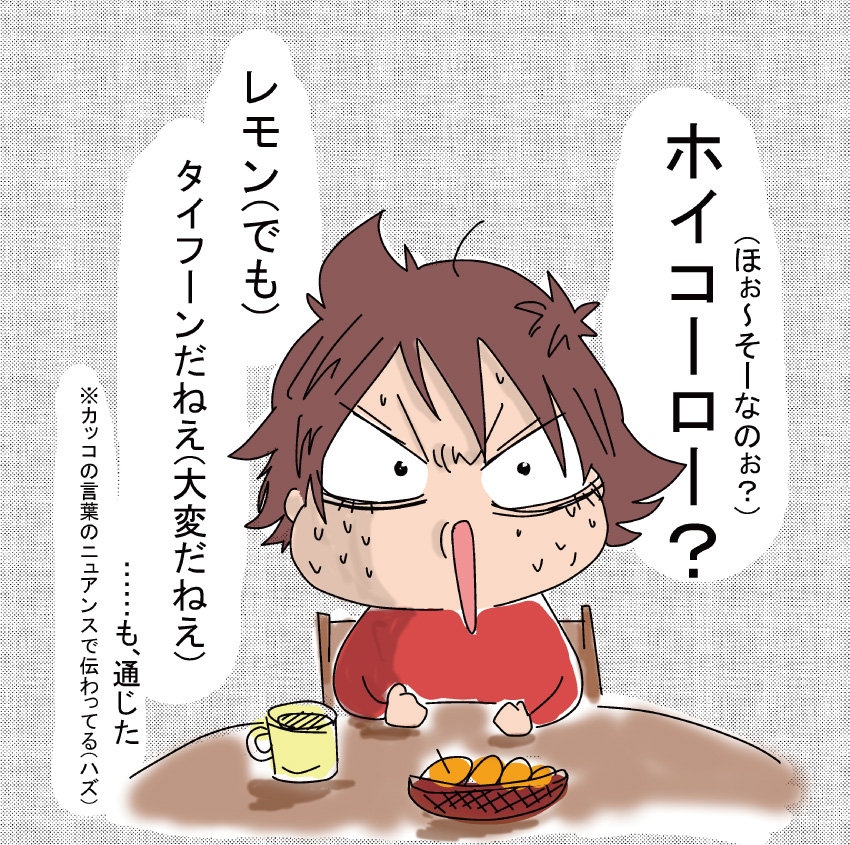 「ホイコーロー?(ほぉ〜そーなの?)」「レモン(でも)、タイフーンだねえ(大変だねえ)」……も、通じた。