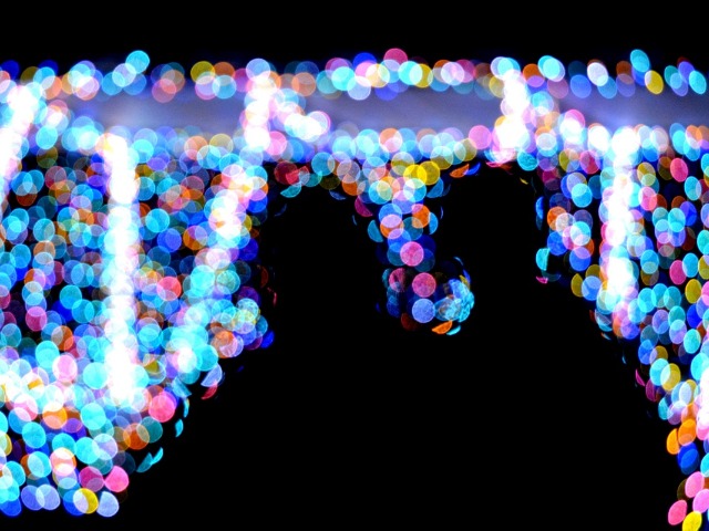孤独とは「自由」なのか? クリスマス前に「ひとりを楽しむ」を考える