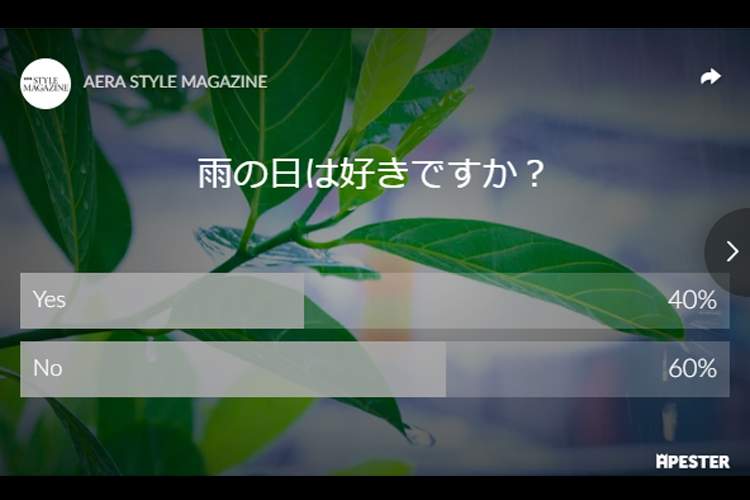写真・図版