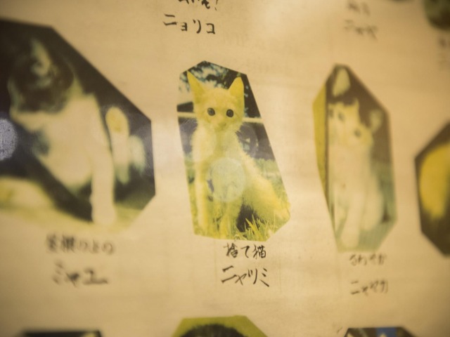 ドリアン助川_2