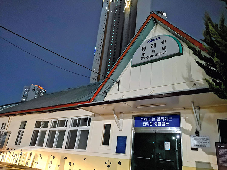 吉岡桂子_11