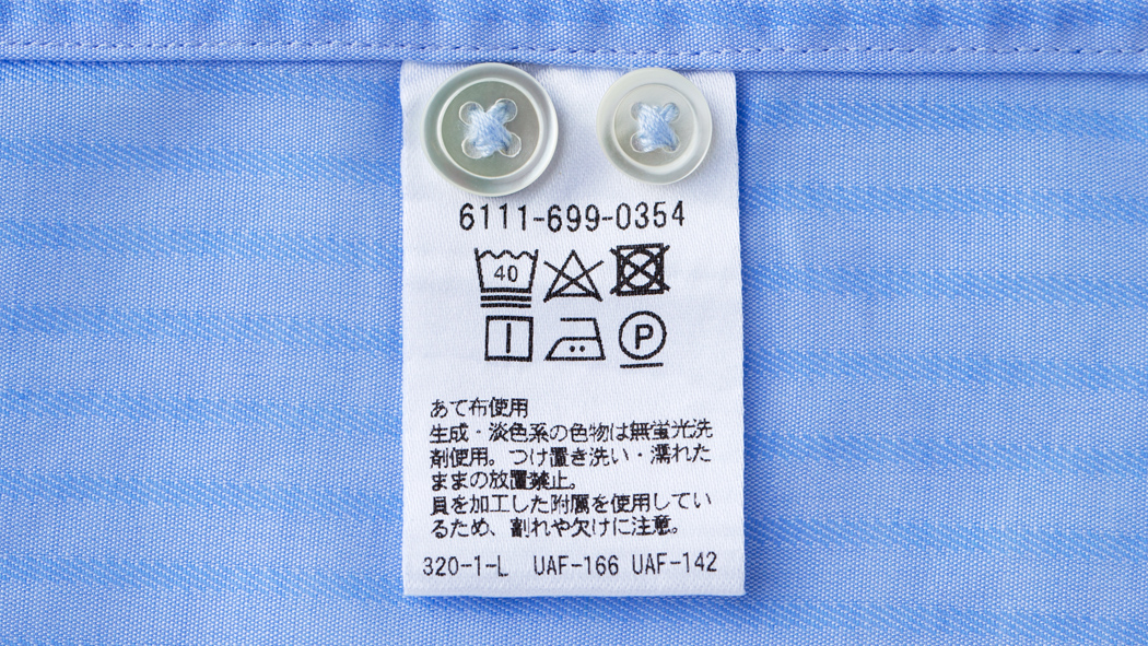 写真・図版