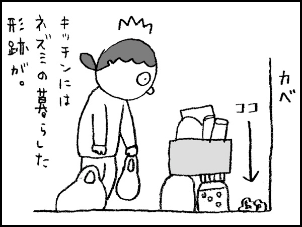 キッチンにはネズミの暮らした形跡が。