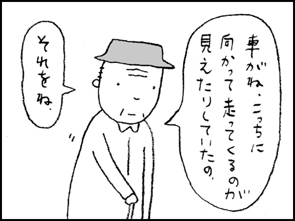 「車がね、こっちに向かって走ってくるのが見えたりしていたの。それをね」