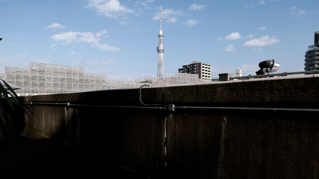 写真・図版