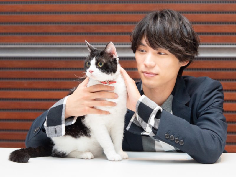 優しくナナを撫でる福士蒼汰さん
取材協力:ZOO動物プロ (上村雄高 撮影)