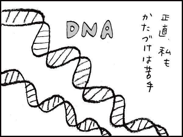 正直、私もかたづけは苦手