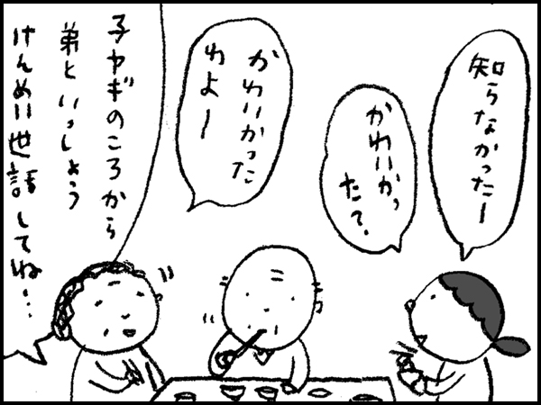 「知らなかったー。かわいかった?」「かわいかったわよー。弟と子ヤギからいっしょうけんめい世話してね・・・」