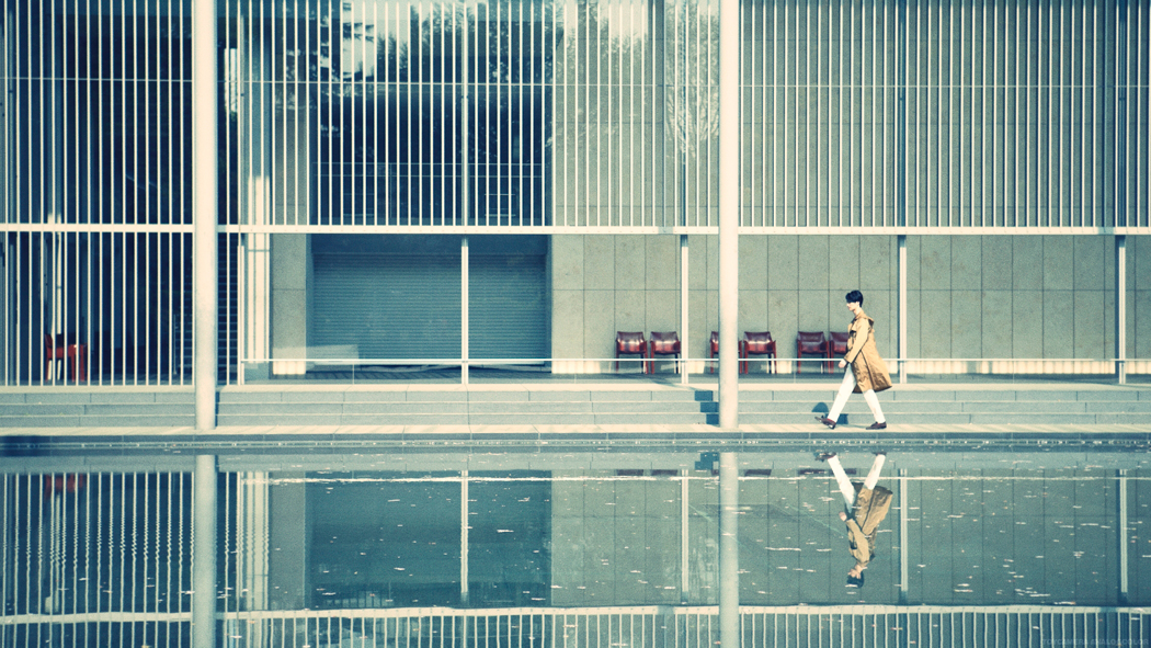 写真・図版
